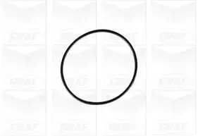 Wasserpumpe, Motorkühlung GRAF PA662 Bild Wasserpumpe, Motorkühlung GRAF PA662