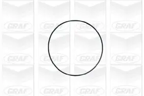 Wasserpumpe, Motorkühlung GRAF PA690 Bild Wasserpumpe, Motorkühlung GRAF PA690