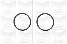 Wasserpumpe, Motorkühlung GRAF PA779 Bild Wasserpumpe, Motorkühlung GRAF PA779