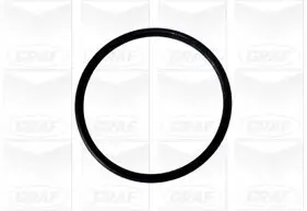 Wasserpumpe, Motorkühlung GRAF PA875 Bild Wasserpumpe, Motorkühlung GRAF PA875