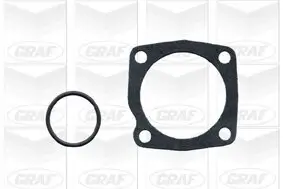 Wasserpumpe, Motorkühlung GRAF PA880 Bild Wasserpumpe, Motorkühlung GRAF PA880