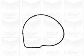 Wasserpumpe, Motorkühlung GRAF PA954 Bild Wasserpumpe, Motorkühlung GRAF PA954