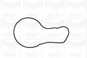 Wasserpumpe, Motorkühlung GRAF PA1000 Bild Wasserpumpe, Motorkühlung GRAF PA1000