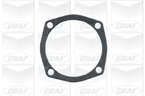 Wasserpumpe, Motorkühlung GRAF PA101 Bild Wasserpumpe, Motorkühlung GRAF PA101