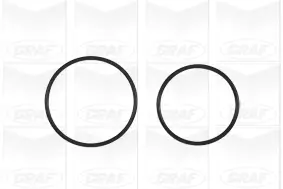 Wasserpumpe, Motorkühlung GRAF PA1036 Bild Wasserpumpe, Motorkühlung GRAF PA1036