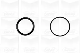 Wasserpumpe, Motorkühlung GRAF PA554 Bild Wasserpumpe, Motorkühlung GRAF PA554