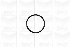 Wasserpumpe, Motorkühlung GRAF PA1047 Bild Wasserpumpe, Motorkühlung GRAF PA1047