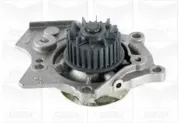 Wasserpumpe, Motorkühlung GRAF PA1072
