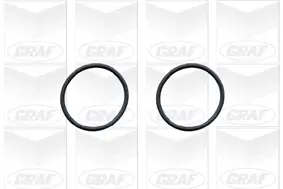 Wasserpumpe, Motorkühlung GRAF PA1105 Bild Wasserpumpe, Motorkühlung GRAF PA1105