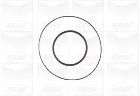 Wasserpumpe, Motorkühlung GRAF PA1108 Bild Wasserpumpe, Motorkühlung GRAF PA1108