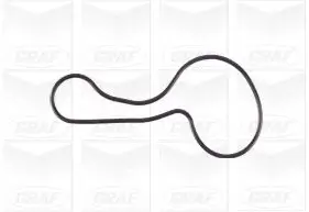 Wasserpumpe, Motorkühlung GRAF PA609 Bild Wasserpumpe, Motorkühlung GRAF PA609