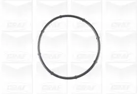 Wasserpumpe, Motorkühlung GRAF PA1125 Bild Wasserpumpe, Motorkühlung GRAF PA1125