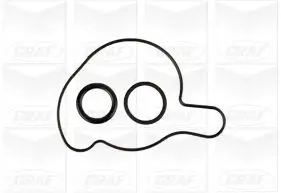 Wasserpumpe, Motorkühlung GRAF PA1151 Bild Wasserpumpe, Motorkühlung GRAF PA1151