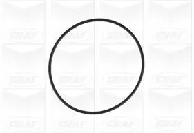 Wasserpumpe, Motorkühlung GRAF PA671 Bild Wasserpumpe, Motorkühlung GRAF PA671