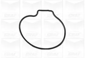 Wasserpumpe, Motorkühlung GRAF PA701