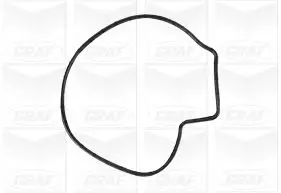 Wasserpumpe, Motorkühlung GRAF PA1252 Bild Wasserpumpe, Motorkühlung GRAF PA1252