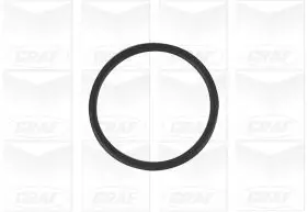 Wasserpumpe, Motorkühlung GRAF PA1256 Bild Wasserpumpe, Motorkühlung GRAF PA1256