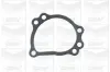 Wasserpumpe, Motorkühlung GRAF PA187 Bild Wasserpumpe, Motorkühlung GRAF PA187