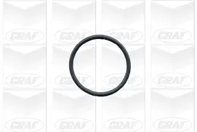 Wasserpumpe, Motorkühlung GRAF PA390 Bild Wasserpumpe, Motorkühlung GRAF PA390