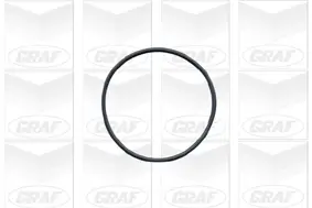 Wasserpumpe, Motorkühlung GRAF PA425 Bild Wasserpumpe, Motorkühlung GRAF PA425