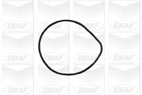 Wasserpumpe, Motorkühlung GRAF PA427 Bild Wasserpumpe, Motorkühlung GRAF PA427