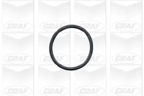 Wasserpumpe, Motorkühlung GRAF PA430 Bild Wasserpumpe, Motorkühlung GRAF PA430