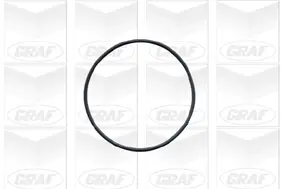 Wasserpumpe, Motorkühlung GRAF PA441 Bild Wasserpumpe, Motorkühlung GRAF PA441