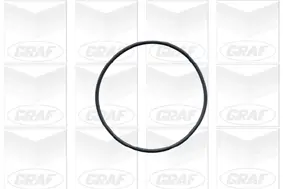 Wasserpumpe, Motorkühlung GRAF PA443 Bild Wasserpumpe, Motorkühlung GRAF PA443