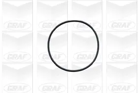 Wasserpumpe, Motorkühlung GRAF PA491 Bild Wasserpumpe, Motorkühlung GRAF PA491