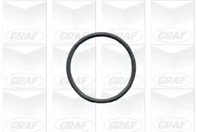 Wasserpumpe, Motorkühlung GRAF PA502A Bild Wasserpumpe, Motorkühlung GRAF PA502A