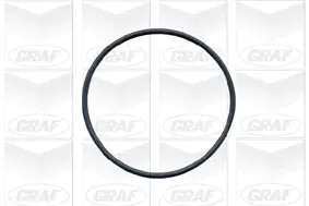 Wasserpumpe, Motorkühlung GRAF PA591 Bild Wasserpumpe, Motorkühlung GRAF PA591