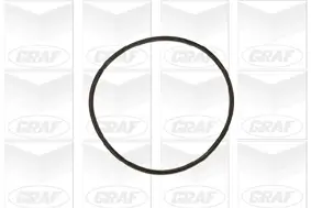 Wasserpumpe, Motorkühlung GRAF PA609 Bild Wasserpumpe, Motorkühlung GRAF PA609