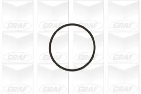 Wasserpumpe, Motorkühlung GRAF PA1048 Bild Wasserpumpe, Motorkühlung GRAF PA1048