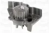 Wasserpumpe, Motorkühlung GRAF PA641 Bild Wasserpumpe, Motorkühlung GRAF PA641