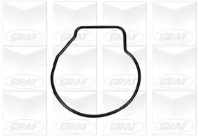 Wasserpumpe, Motorkühlung GRAF PA669 Bild Wasserpumpe, Motorkühlung GRAF PA669