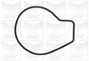 Wasserpumpe, Motorkühlung GRAF PA670 Bild Wasserpumpe, Motorkühlung GRAF PA670