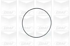 Wasserpumpe, Motorkühlung GRAF PA671 Bild Wasserpumpe, Motorkühlung GRAF PA671