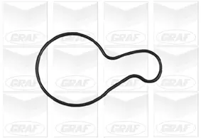 Wasserpumpe, Motorkühlung GRAF PA688 Bild Wasserpumpe, Motorkühlung GRAF PA688