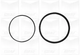 Wasserpumpe, Motorkühlung GRAF PA695 Bild Wasserpumpe, Motorkühlung GRAF PA695