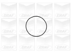 Wasserpumpe, Motorkühlung GRAF PA696 Bild Wasserpumpe, Motorkühlung GRAF PA696