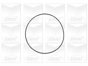 Wasserpumpe, Motorkühlung GRAF PA802 Bild Wasserpumpe, Motorkühlung GRAF PA802