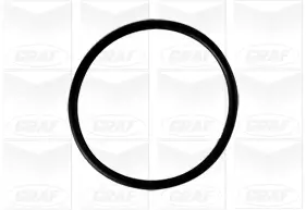 Wasserpumpe, Motorkühlung GRAF PA806 Bild Wasserpumpe, Motorkühlung GRAF PA806