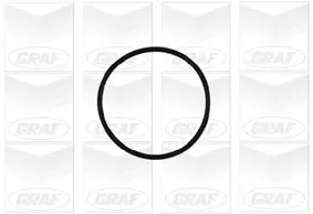 Wasserpumpe, Motorkühlung GRAF PA837 Bild Wasserpumpe, Motorkühlung GRAF PA837