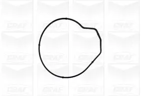 Wasserpumpe, Motorkühlung GRAF PA855 Bild Wasserpumpe, Motorkühlung GRAF PA855