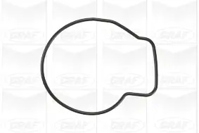 Wasserpumpe, Motorkühlung GRAF PA876 Bild Wasserpumpe, Motorkühlung GRAF PA876