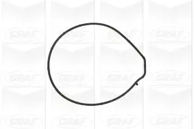 Wasserpumpe, Motorkühlung GRAF PA884 Bild Wasserpumpe, Motorkühlung GRAF PA884