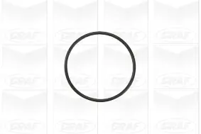 Wasserpumpe, Motorkühlung GRAF PA941 Bild Wasserpumpe, Motorkühlung GRAF PA941