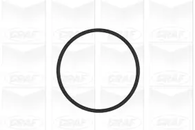 Wasserpumpe, Motorkühlung GRAF PA953 Bild Wasserpumpe, Motorkühlung GRAF PA953