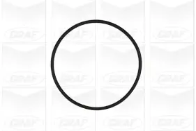 Wasserpumpe, Motorkühlung GRAF PA960 Bild Wasserpumpe, Motorkühlung GRAF PA960