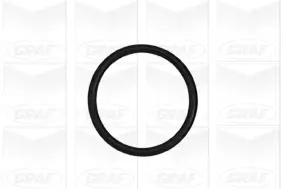 Wasserpumpe, Motorkühlung GRAF PA985 Bild Wasserpumpe, Motorkühlung GRAF PA985